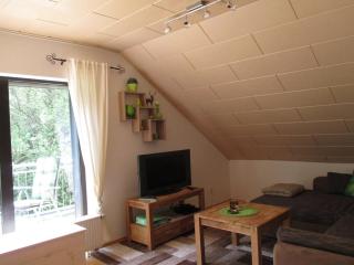 Ferienwohnung an der Lay - Bach - 2