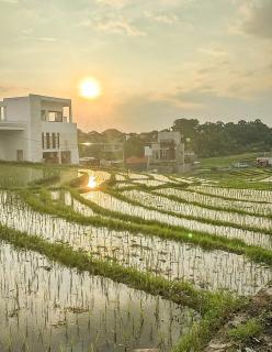 Villa Paloma Canggu Pererenan - 2