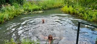 Chalet Mandl Sauna Pool EG Rollstuhlgängig - 8