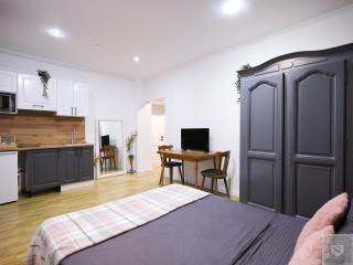 RentHouse Apart-Hotel Room #11 - 6