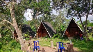Forest Side bungalow - Tetebatu - 7