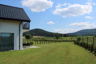 Domki Polne Marzenie - Radków - 1
