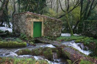 Casa LarSanAdrian 2 - Verdes - 7