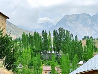 Shahzod Guesthouse & Homestay - Shahrisabz - 0