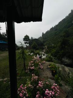 Star Manali - 7