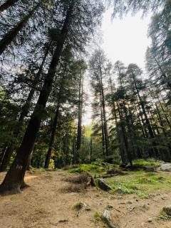 Star Manali - 3