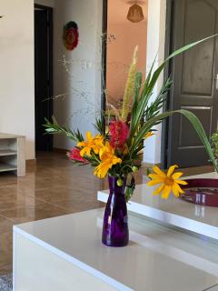 Villa De la mer au volcan friendly - 5