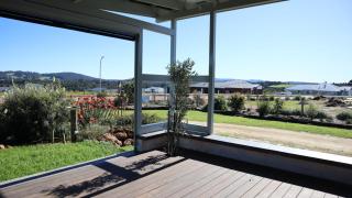 Beautiful Beaufortia - 4