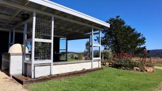 Beautiful Beaufortia - 6