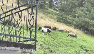 Villa Tersilla - Santo Stefano di Cadore - 5