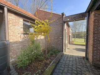 Bed en Natuur Puur - Herselt - 8