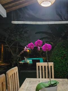 Monik Guest House - 4
