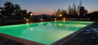 Tenuta Colombaio - Casole dʼElsa - 5