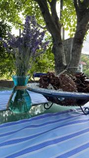 Ιξός Home - 5