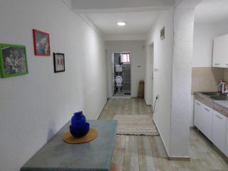 Aparmani Mitic - 1