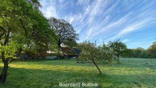 Boerderij Buitink - Kotten - 6