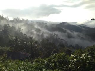 Mountain view stay - 5