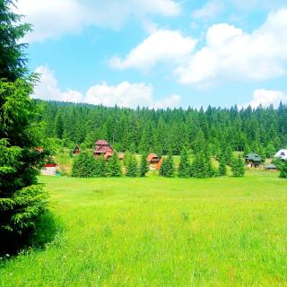 Planinska kuca Beli bor - 2