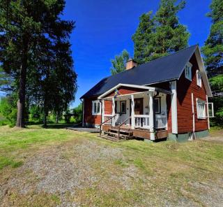 House Arctic Wolf - Blattnicksele - 8