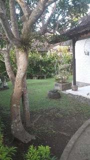 villa Philippe Mimpi 19 - 5