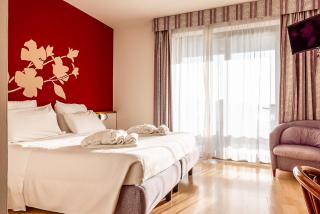 Alevic Hotel Sirmione - Sirmione - 6