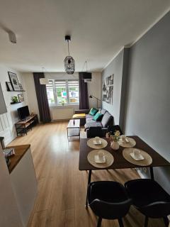 Luksus w centrum miasta-6 osobowy apartament w kamienicy - Gorzów Wielkopolski - 6