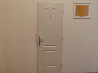 Summer room-1 bedroom privite use Center apartment - Pusztavacs - 1
