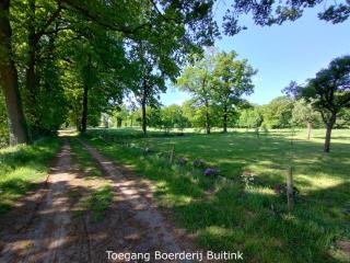 Boerderij Buitink - Kotten - 7