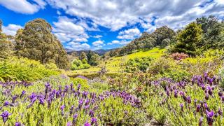 BEAUTIFUL RETREAT - 20 mins to CBD and only 10 mins to MONA! - Collinsvale - 2