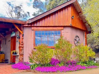 BEAUTIFUL RETREAT - 20 mins to CBD and only 10 mins to MONA! - Collinsvale - 3