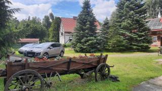 Mazurskie Uroczysko - nad samym jeziorem - plaża łódki kajaki - śniadania - Szczytno - 0