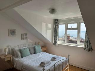 The Shelldrake - Scarborough - 5