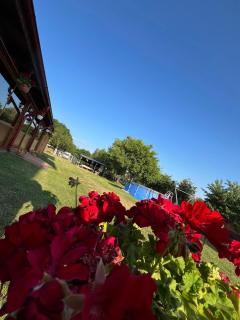 Pensiunea Casa Domnitei - 1