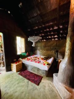 Lankan Unic Villa - Sigiriya - 7