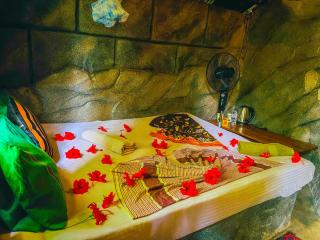 Lankan Unic Villa - Sigiriya - 1