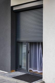 Modern Nest - 2
