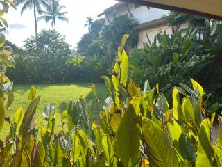 Samui Sense Revive - 4