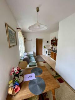 Nádherný klidný apartmán s infrasaunou - 8