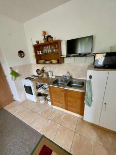 Nádherný klidný apartmán s infrasaunou - Vysoké nad Jizerou - 3