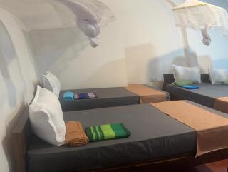Cashew nut land hostel - 6