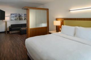 SpringHill Suites by Marriott Lake Charles - Lake Charles - 5