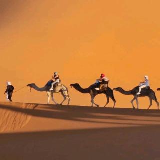Merzouga Hosting & Camelride - Merzouga - 5