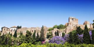 Málaga la Bella - Málaga - 6