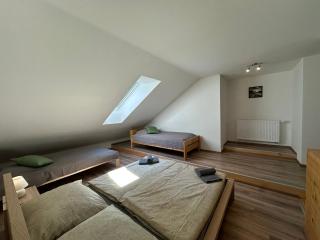Apartmán Lesní ráj - Svratouch - 9