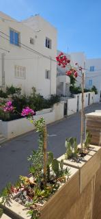 Samy's Luxury Apartments - Hammamet - 5
