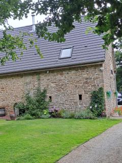 la hamonniere - Savigny-le-Vieux - 7