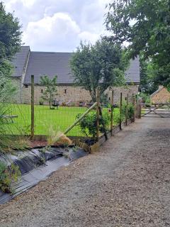 la hamonniere - Savigny-le-Vieux - 5