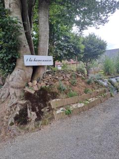 la hamonniere - Savigny-le-Vieux - 9