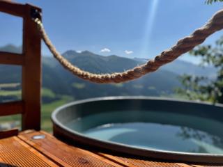 Hochleiten-Gut - Niedernsill - 9