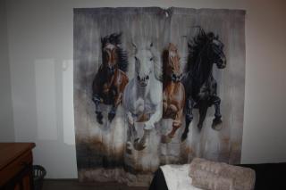 Papkuilsvlei Selfsorg Plaashuis - 3